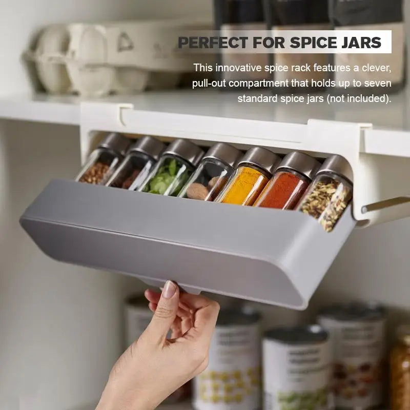 Under-shelf Spice Organizer