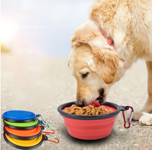 Foldable Pet Bowl